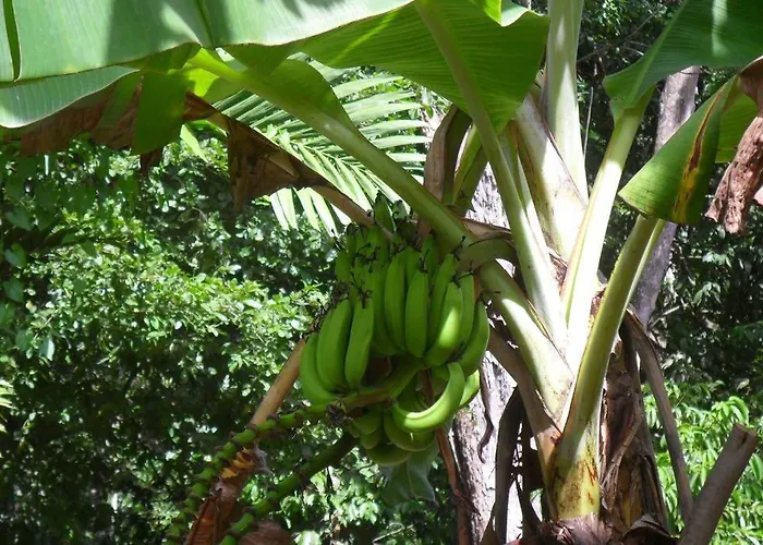 Homestay Idilio Escape *