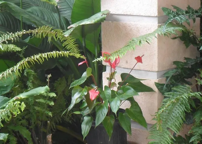 Homestay Idilio Escape