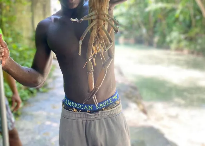 Idilio Escape Homestay Ocho Rios