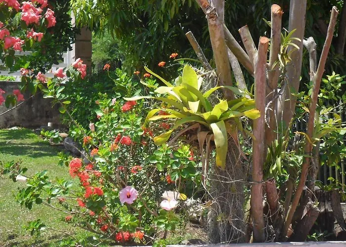Idilio Escape * Ocho Rios