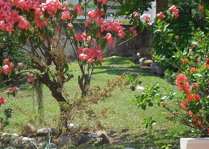 Idilio Escape Homestay *