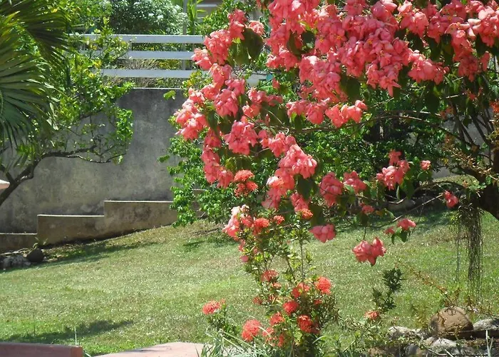 Idilio Escape Homestay Ocho Rios